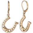 Load image into Gallery viewer, Lainey Wilson Horseshoe Drop Earrings
