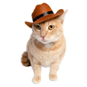 PET COWBOY HAT COSTUME