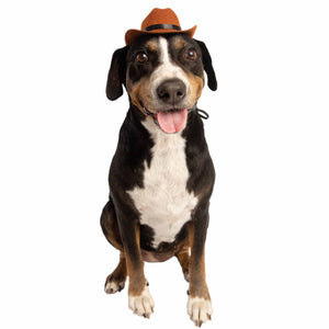 PET COWBOY HAT COSTUME