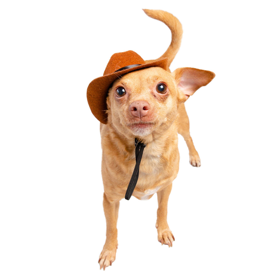 PET COWBOY HAT COSTUME