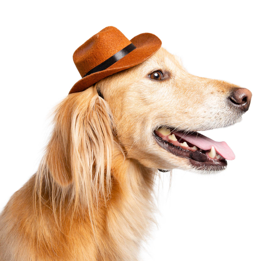 PET COWBOY HAT COSTUME