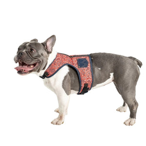 Wrangler Red Bandana Vest Harness