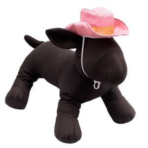PET COWBOY HAT & TOY