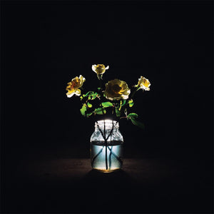 BILLY STRINGS: RENEWAL VINYL LP
