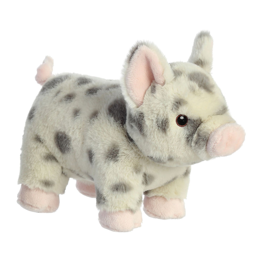 SPOTTED PIG PLUSH